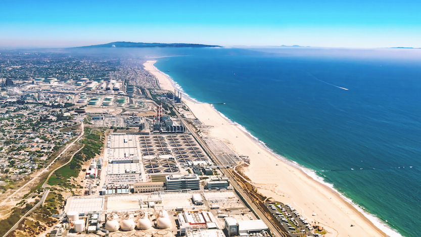 ​ Image: Shutterstock ​