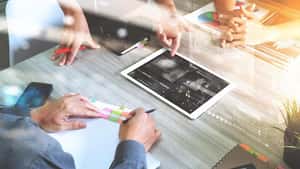 Mammoth Distribution