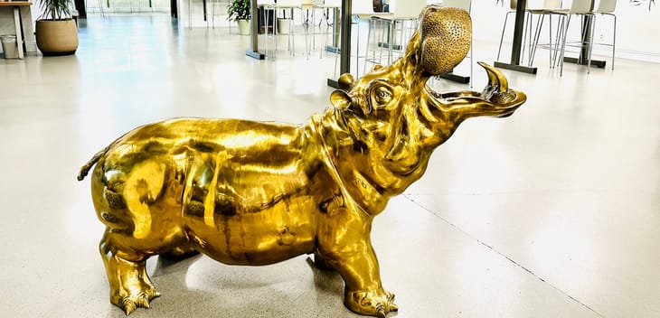 Photo: Golden Hippo