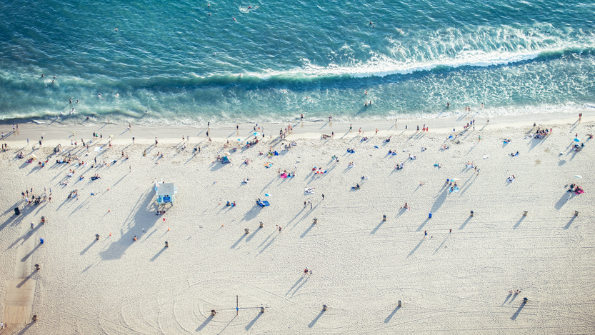  Image: Shutterstock Image: Shutterstock 